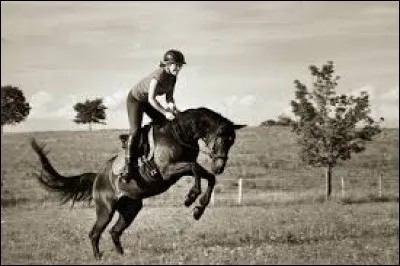 CSO | Les fanions rouges des obstacles sont...