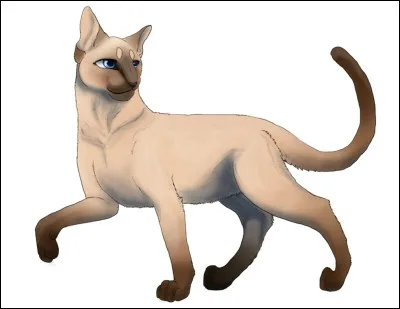 Combien de petits Sacha a-t-elle eus ?