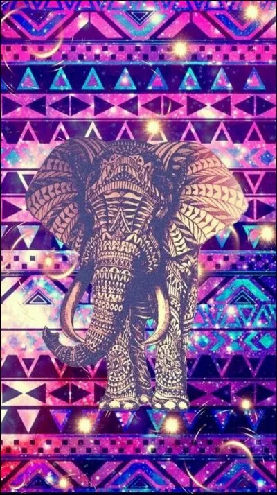 Quel animal vois-tu ?