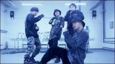 Sur quelle chanson Suga arrête-t-il de chanter pendant le concert pour prouver qu'ils ne chantent pas en playback ?