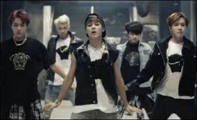 De quel clip est extraite cette image ?