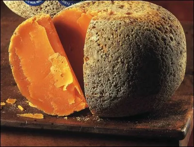 Quel est l'autre nom de ce fromage nommé 'Boule de Lille' ?