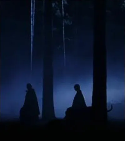 On te dit que tu n'es pas capable d'aller dans la Forêt interdite cette nuit.