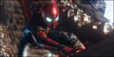 Qui est ce personnage ?