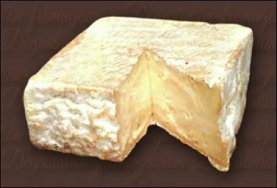 Quel est ce fromage ?