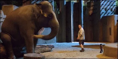 Dans "Zookeeper", qui garde les animaux du Franklin Park Zoo, dont Barry l'éléphant ?