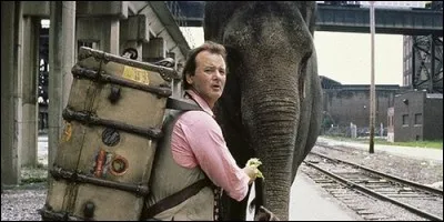 Quel est le titre de ce film avec Bill Murray, dans le rôle principal, et de Vera, une éléphante qu'il a eu en héritage ?