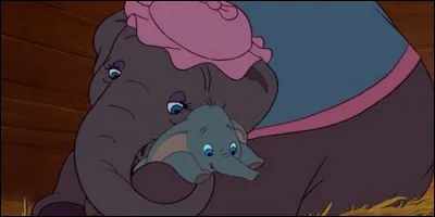 La mère de Dumbo, dans le film éponyme, se nomme Pumba.