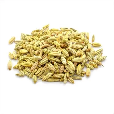 Les graines ----- pr&ecirc;tes.