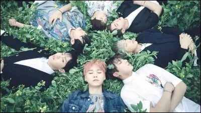 Qui sont les deux membres du groupe nés à Busan ?