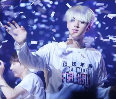 Quel métier Jin aurait-il voulu faire s'il n'était pas devenu chanteur ?