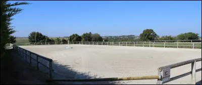 Comment appelle-t-on l'endroit où s'entraînent le cheval et son cavalier ?