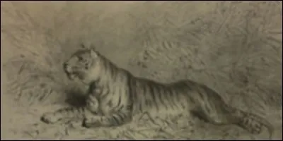 Quel est le nom du tigre royal dans le roman de John Hagenbeck ?