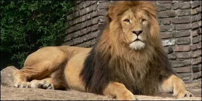 Dans quelle série rencontre-t-on Clarence ?