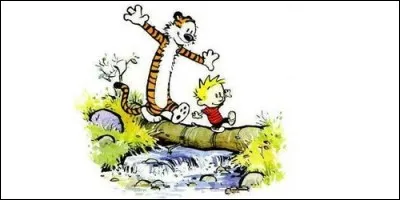 Qui accompagne Hobbes dans ses aventures, dans la bande dessinée du même nom ?
