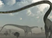 Quiz La famille des sauropodes