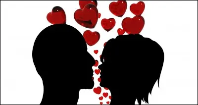 Quel sujet (que ce soit les quiz, les tests ou les groupes) t'attires le plus ?