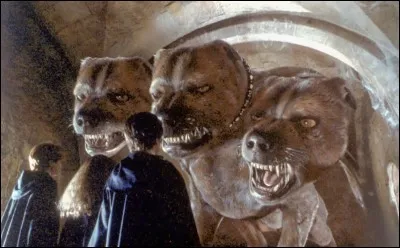 Quel animal voudrais-tu ?