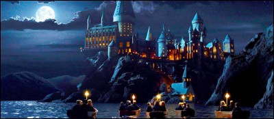 Quel est le titre du premier chapitre de ''Harry Potter à l'école des sorciers'' ?