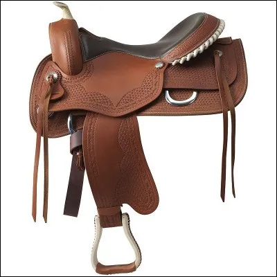 Quelle est cette selle ?