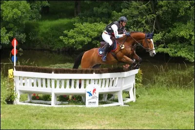 Comment s'appelle cette discipline équestre ?