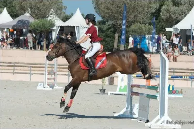 En quelle année a été créé le record du monde de hauteur (en CSO) ?