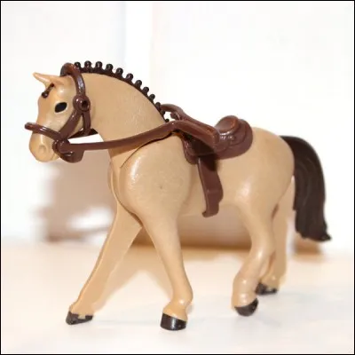 Et pour finir... Qu'est-ce que c'est?