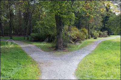 "I can turn left" est :