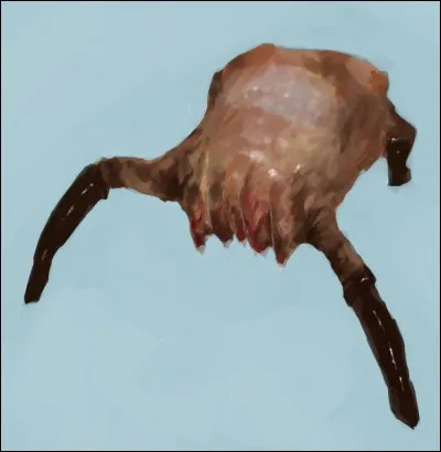 Comment cet ennemi s'appelle-t-il ?