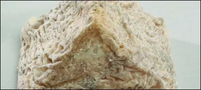 Quel est ce fromage ?