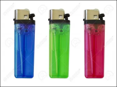 Le "briquet" est également une race de chat !