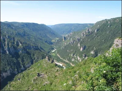 C'est ici que le sein siège, c'est...