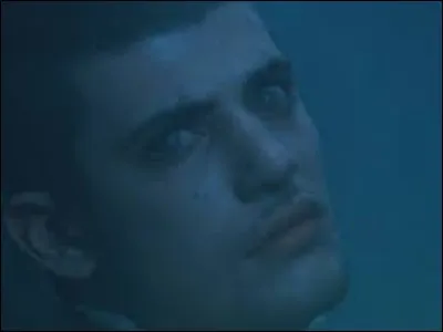 Qui a ensorcel&eacute; Victor Krum ?