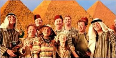 Les Weasley vont arriver chez les Dursley pour la Coupe du Monde de quidditch, mais comment ?