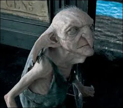 Quel elfe rencontre Harry en haut des tribunes ?