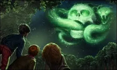 Qui est soup&ccedil;onn&eacute; d'avoir caus&eacute; la marque des T&eacute;n&egrave;bres ?