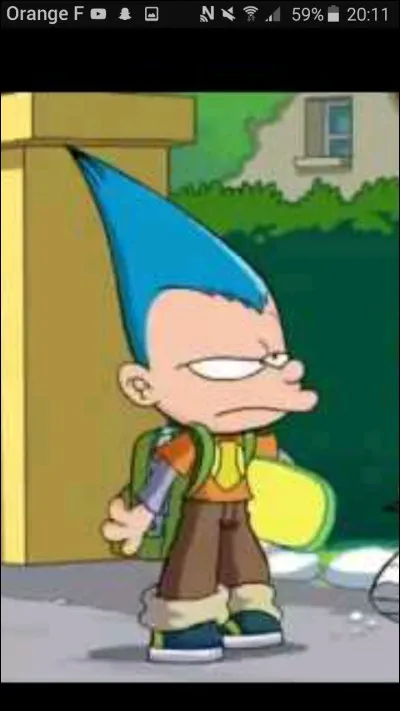 De quelle couleur sont les cheveux de Raphaël ?