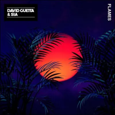 Quelle chanson de David Guetta chantée par Sia a un nom en rapport avec le feu ?