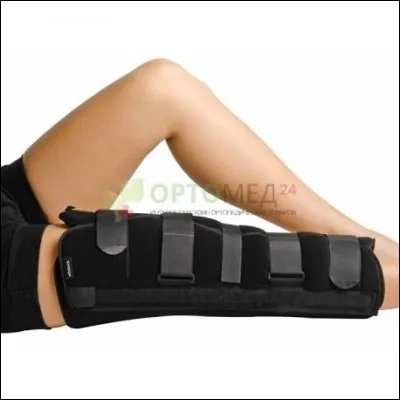 Qui chante ''Immobile'' ?