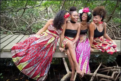 Qui chante ''Une fille du soleil'' ?