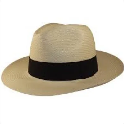 Complète avec la bonne lettre : 
L _ jeune homme a mis son chapeau.