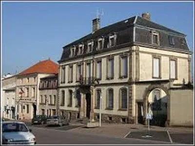 Nous nous rendons dans le Grand-Est, à Château-Salins. Ville du Saulnois, dans l'ancienne région Lorraine, elle est une sous-préfecture du département ...