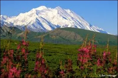 Rebaptis&eacute; Denali en 2015, le point culminant d'Am&eacute;rique du Nord reste largement connu sous son ancien nom, qui est ....
