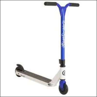 Que voyez-vous sur cette image ?