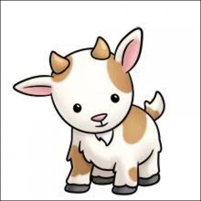 Comment devrions-nous appeler la femelle du bouc ?
