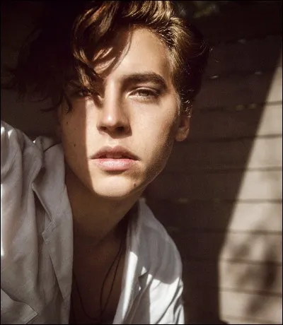 Jusqu'où des fans l'ont-ils déjà suivi ?