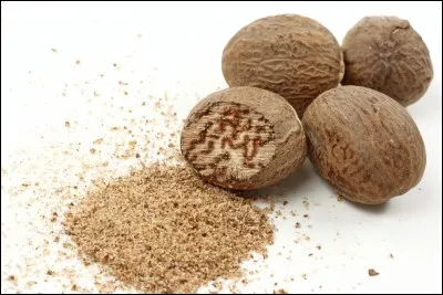 Étoile de Feu a une mère. Qui est-elle ?