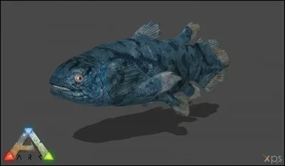 Peut-on apprivoiser le clacanthe ?