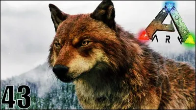 Où peut-on trouver les loups ?