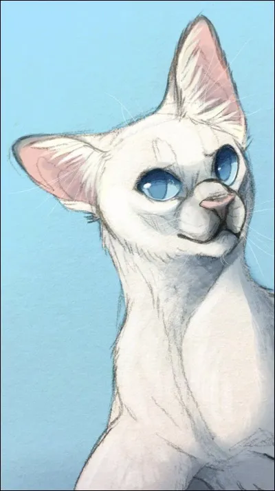 Qui est la sur d'Étoile Bleue ?